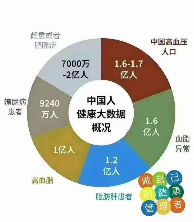1739154458493.jpg